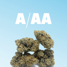 A/AA