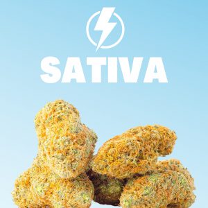 buy sativa weed
