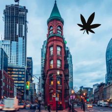 where to buy weed in Toronto