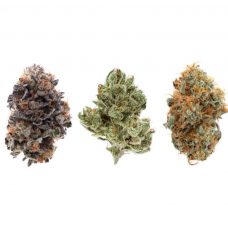 different strains of weed